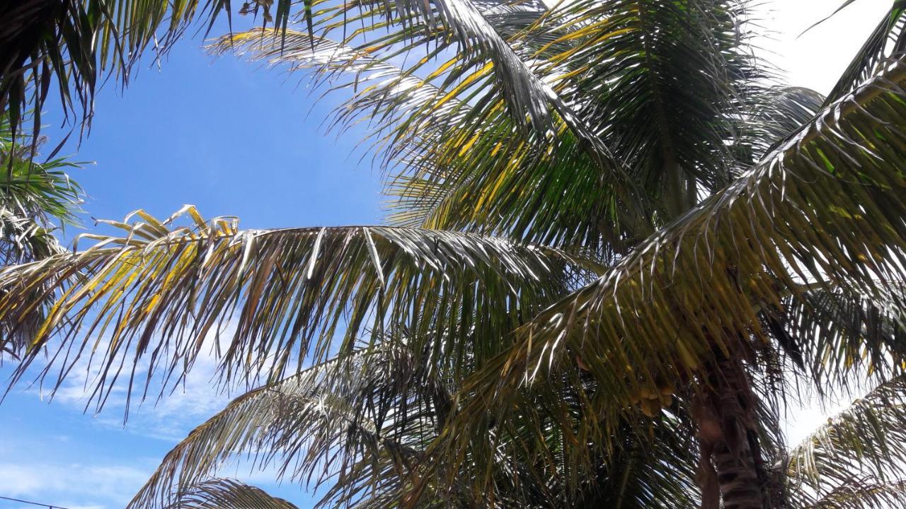 Margarita Del Sol Hotel Costa Maya Mahahual Esterno foto