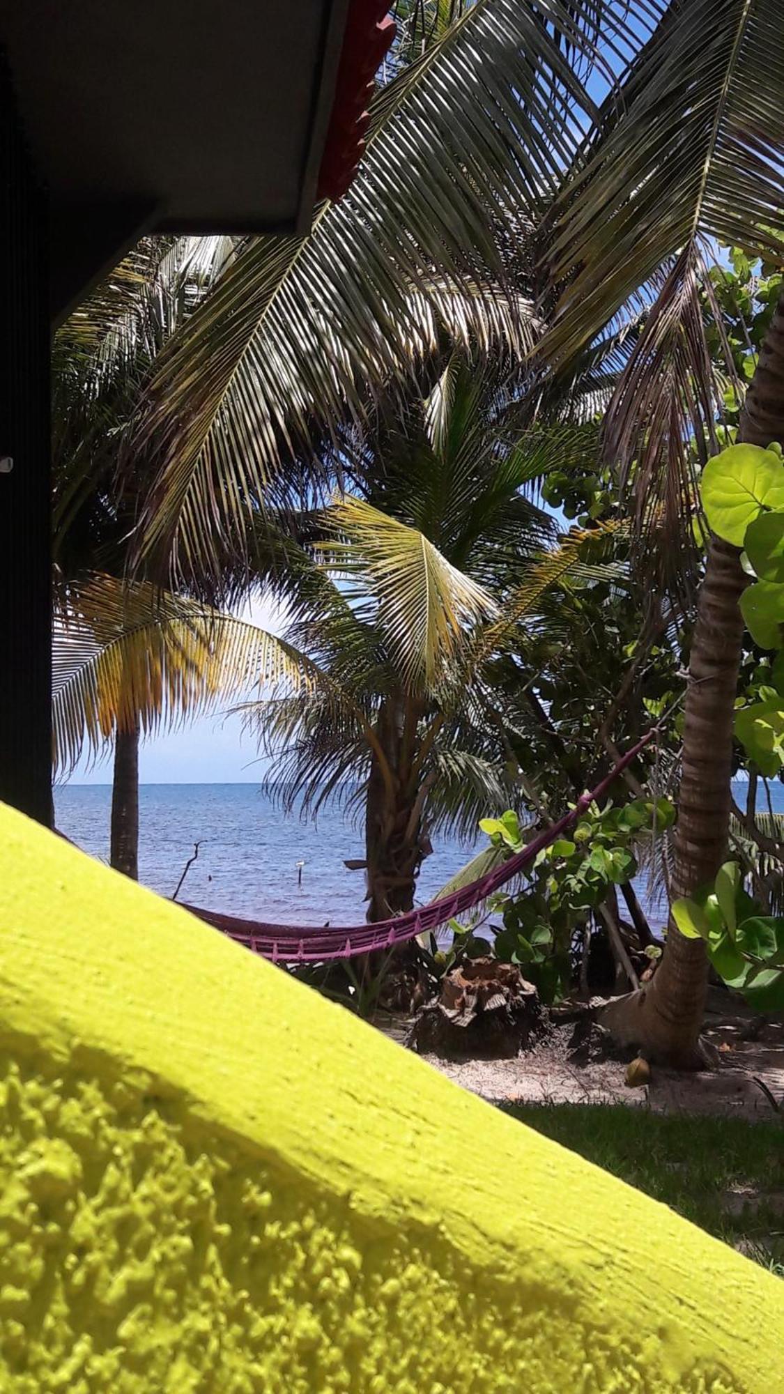 Margarita Del Sol Hotel Costa Maya Mahahual Esterno foto